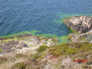 vandringstips för norra Bornholm